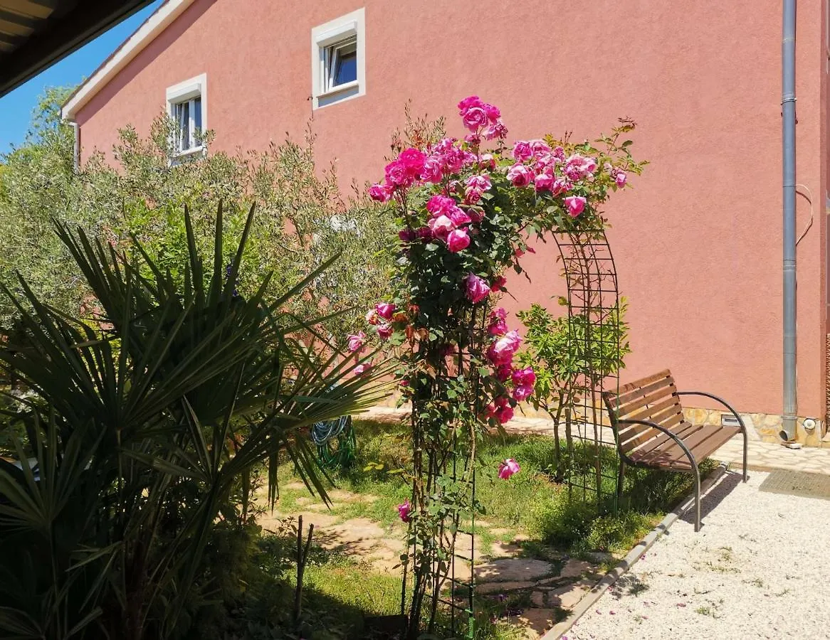 פאז'אנה Apartments Babic